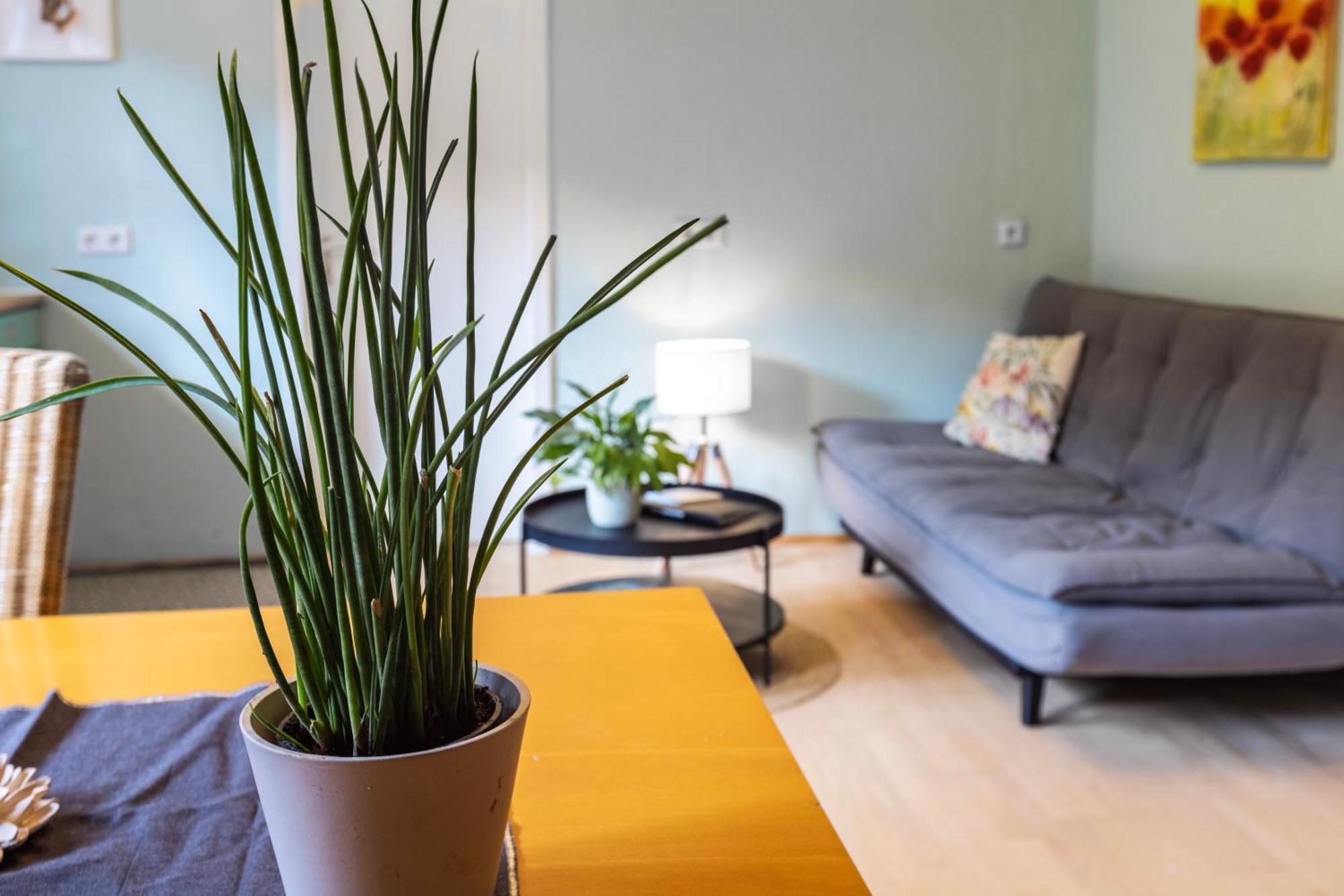 Ferienwohnung Karker 1 라돌프젤암보덴시 외부 사진